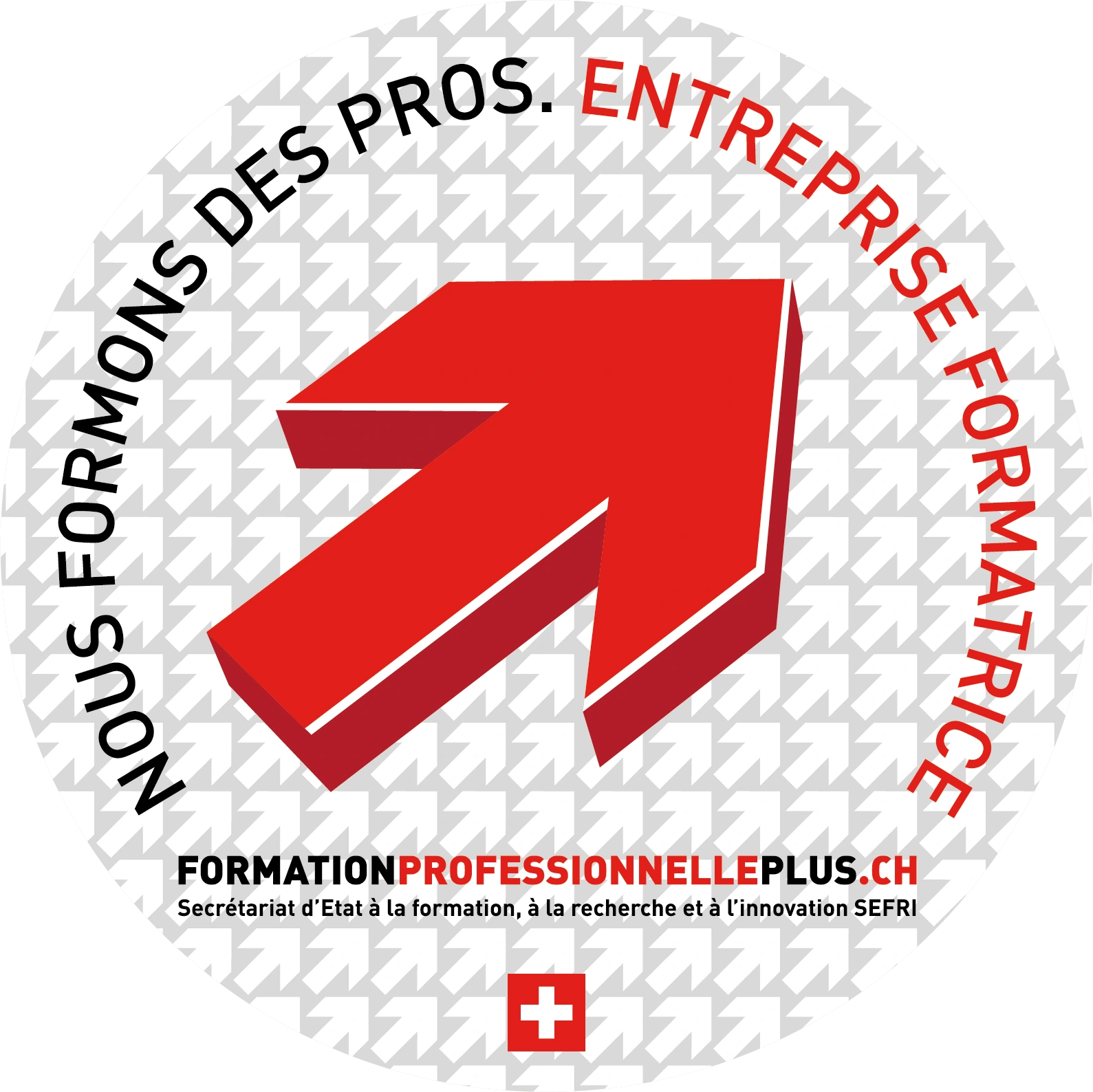 Entreprise formatrice — Nous formons des pros